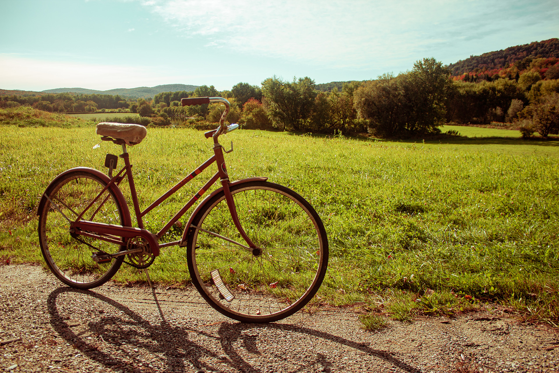 A bike found on the side of the road