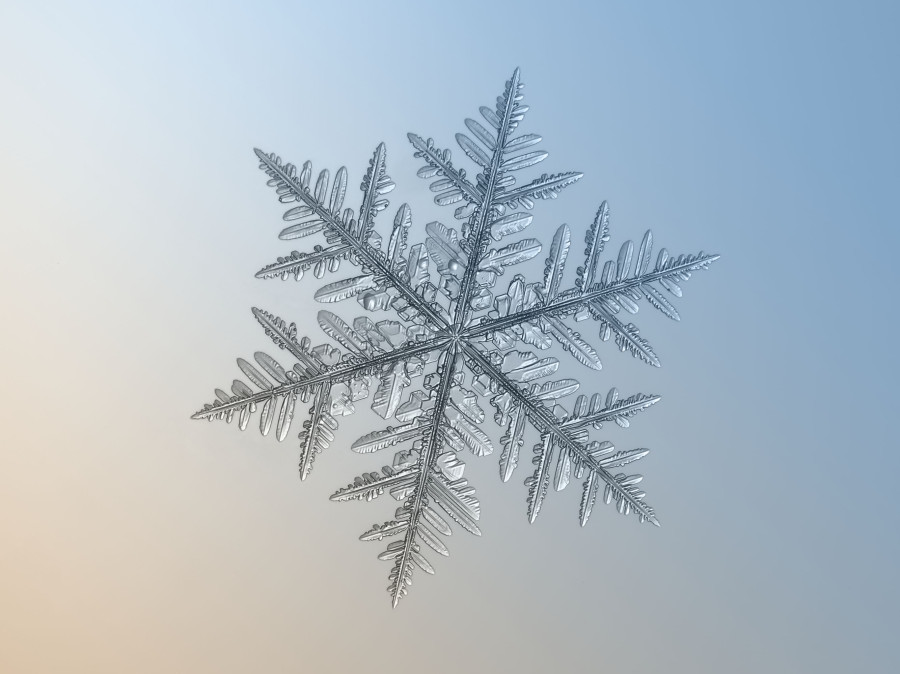 snowflake decorative