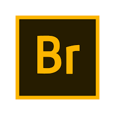 adobe bridge