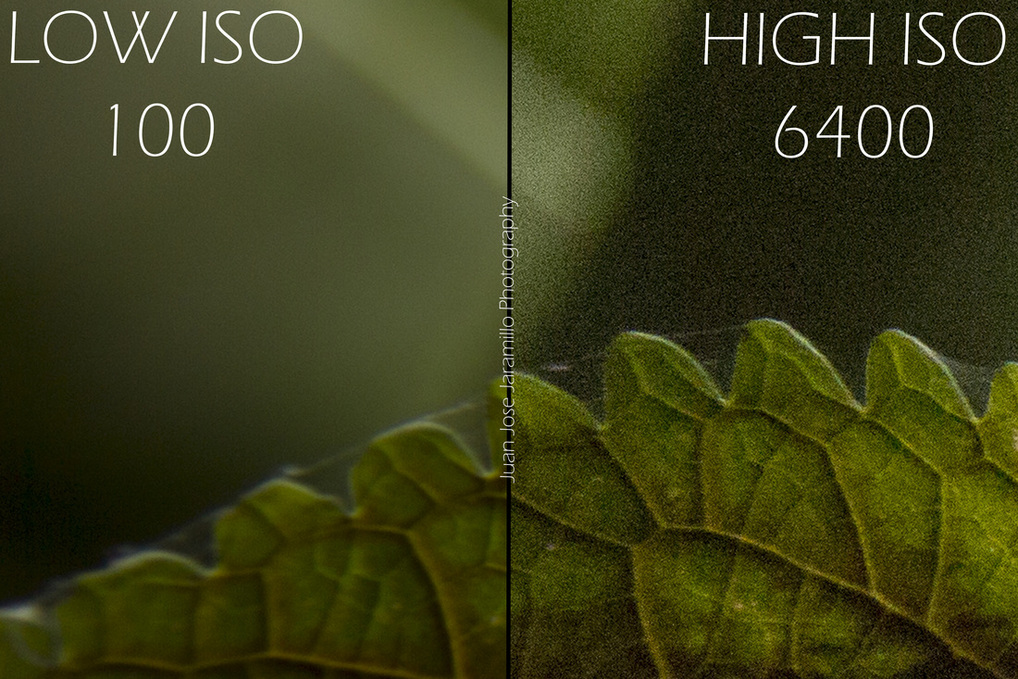 iso comparison