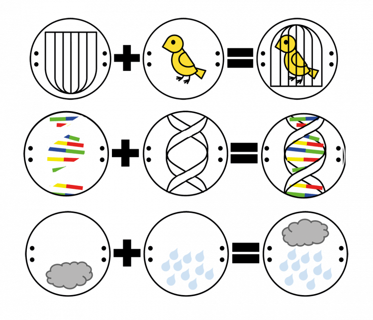 Thaumatrope Examples