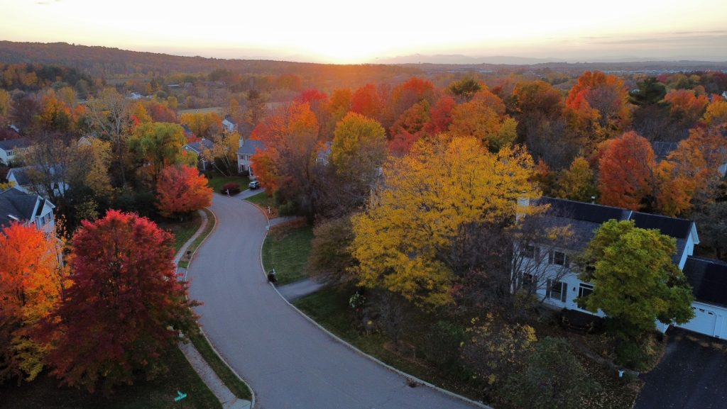 Foliage in Williston